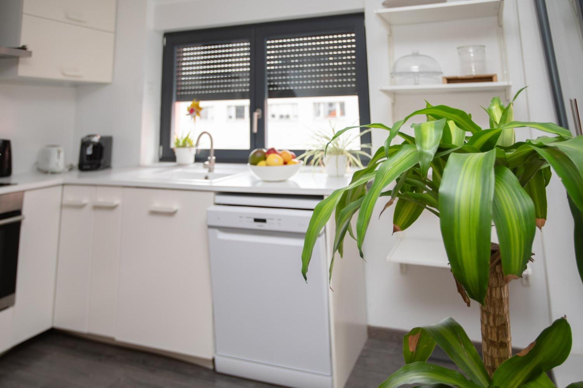 Appartement Moderne Au Centre Ville 스트라스부르 외부 사진